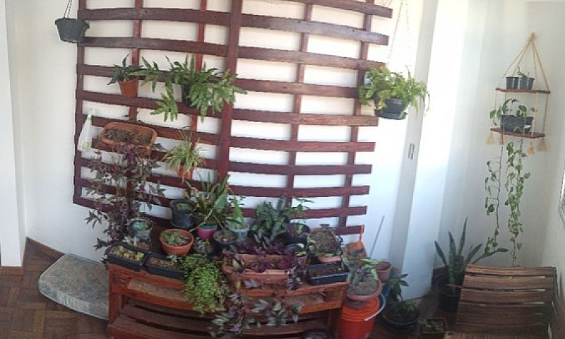 Apartamento 3 Quarto...