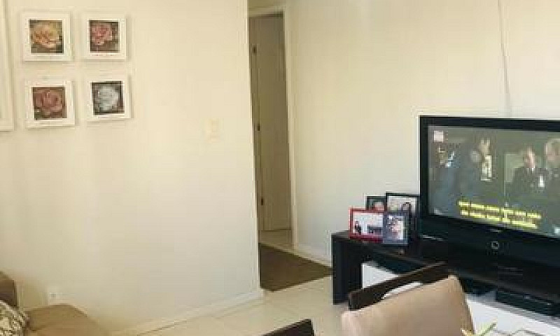 Apartamento Em Campi...