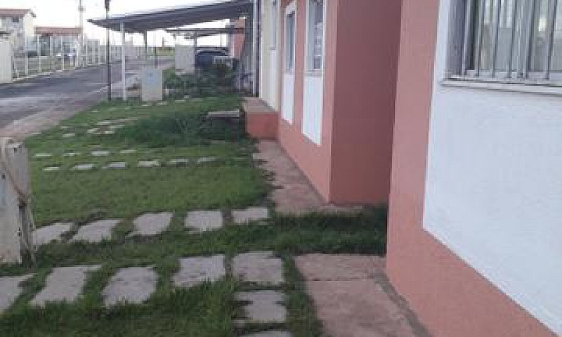 Vendo Ágio No Jardim...