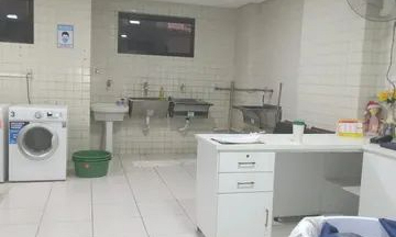 Apartamento Para Alu...