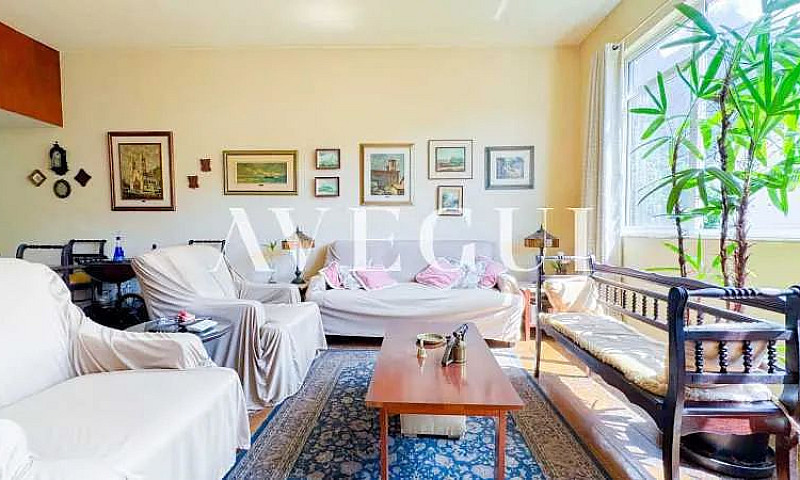 Apartamento Em Botaf...