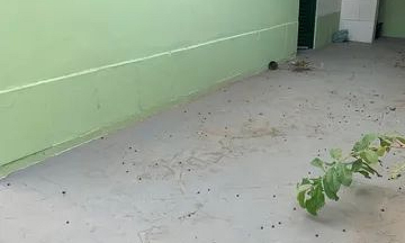 Excelente Casa Para ...