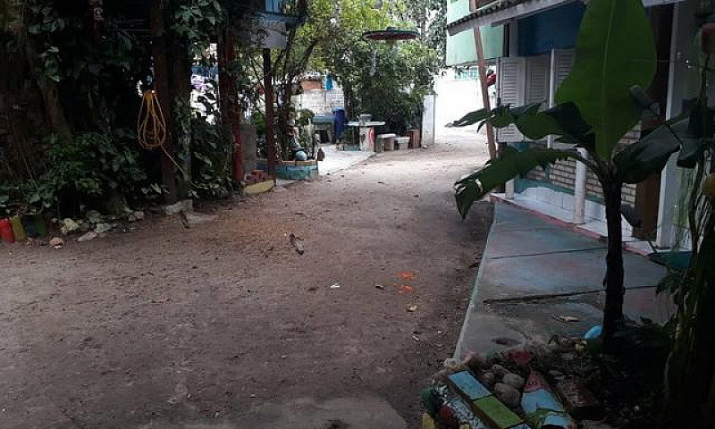 Aptos Anual Praia Da...