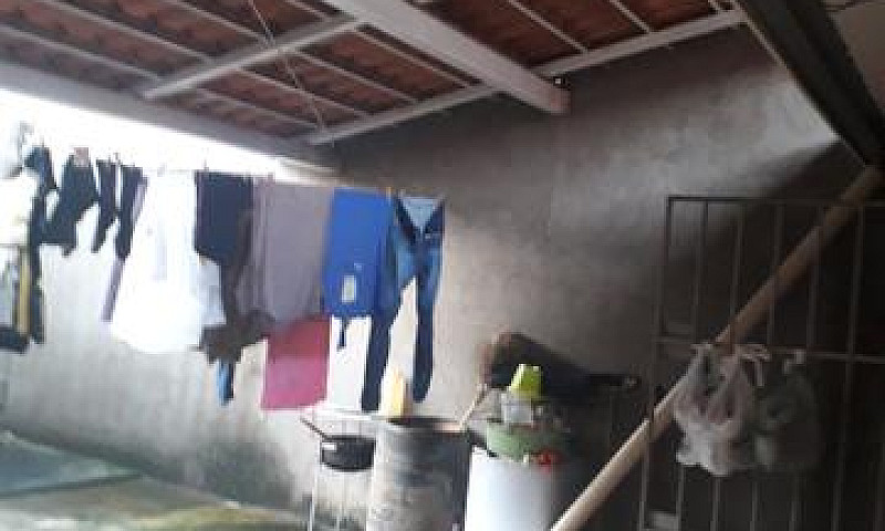 Vendo Ágio No Jardim...