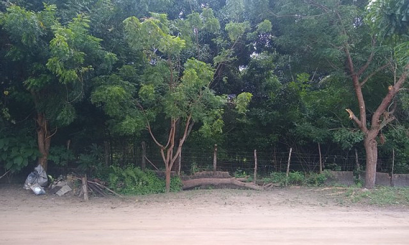 Casa Com Quintal...