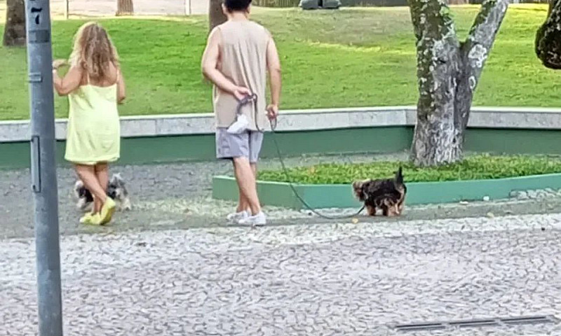 Oportunidade-2 Qtos ...