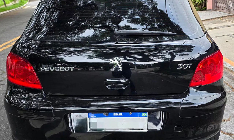 Peugeot 307 Feline/G...