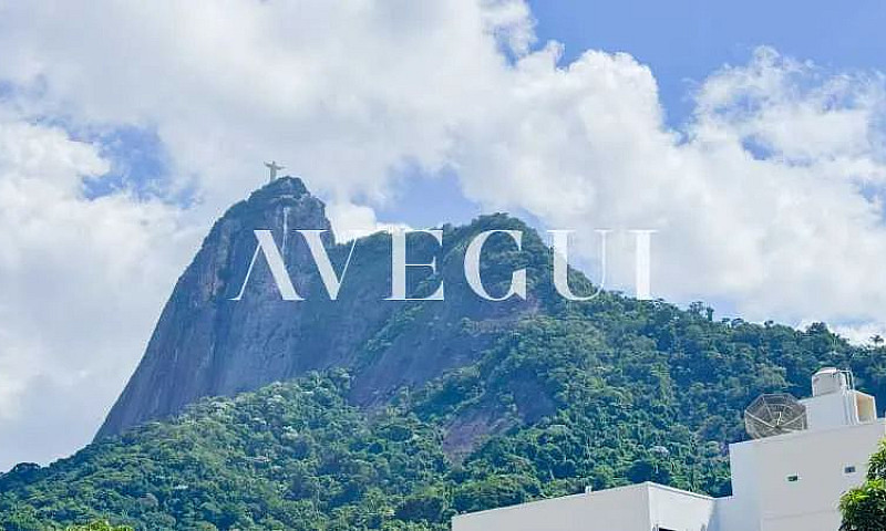 Apartamento Em Botaf...
