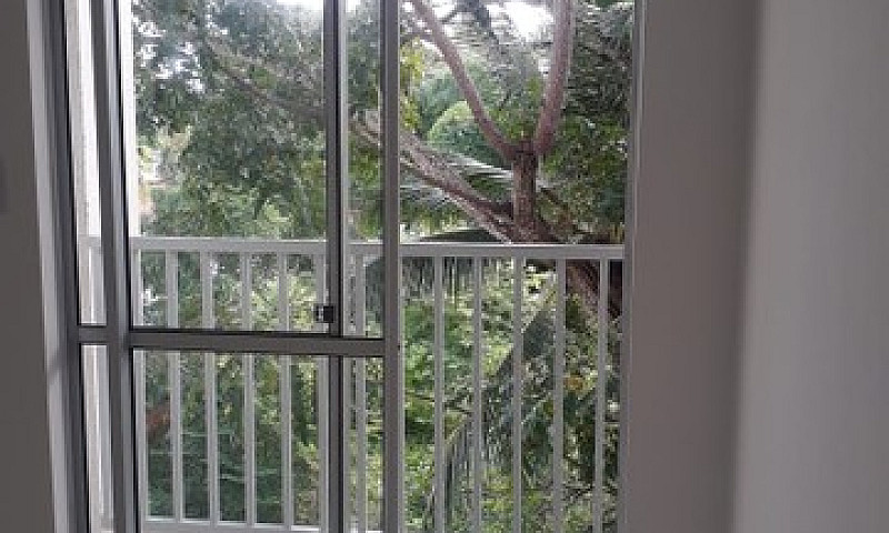 Apto Parque Do Sol M...