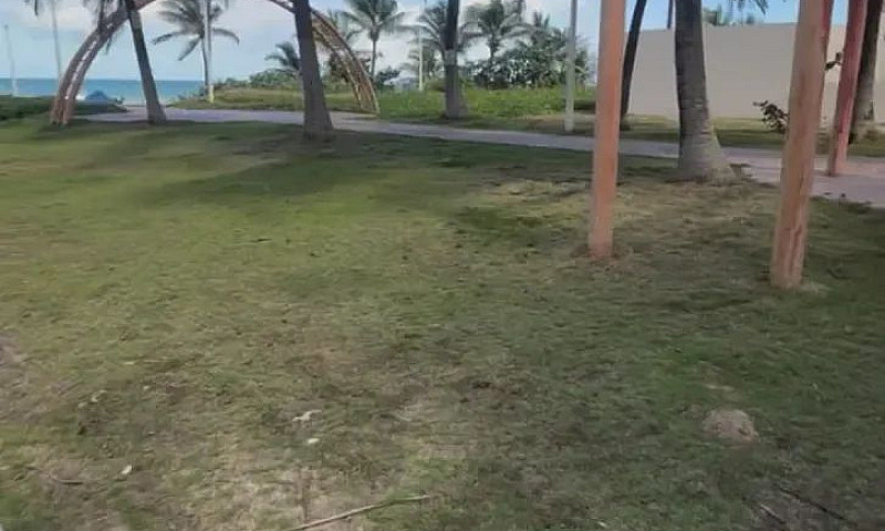 Casa De Condomínio P...