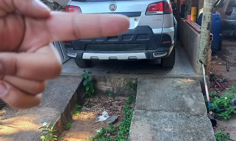 Fiat Palio Week.adv....