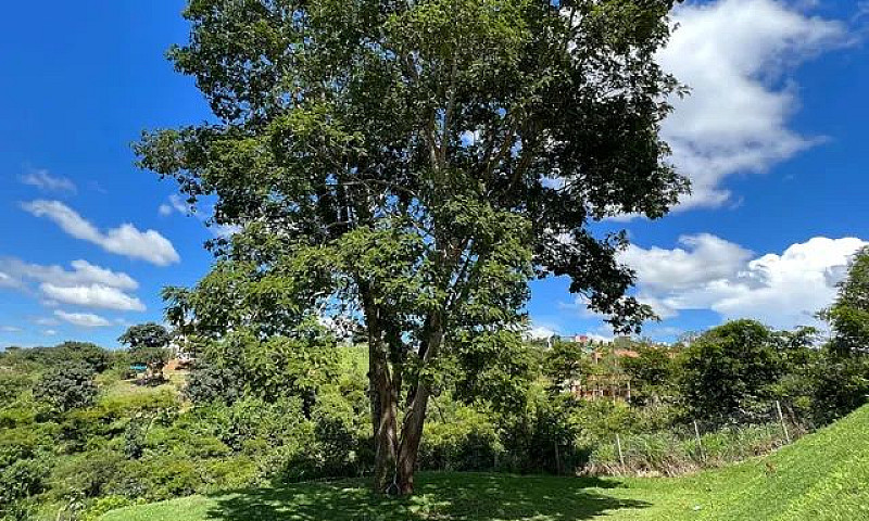 Casa De Alto Padrão ...