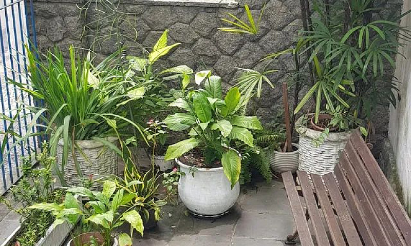 Apartamento Para Alu...