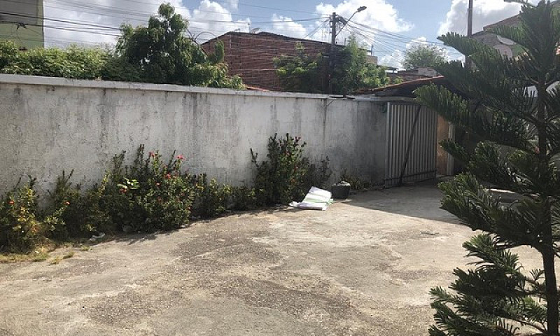 Casa Para Aluguel Te...