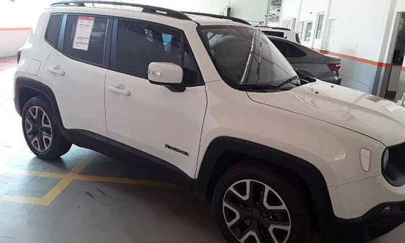 Renegade 2019/2020 1...