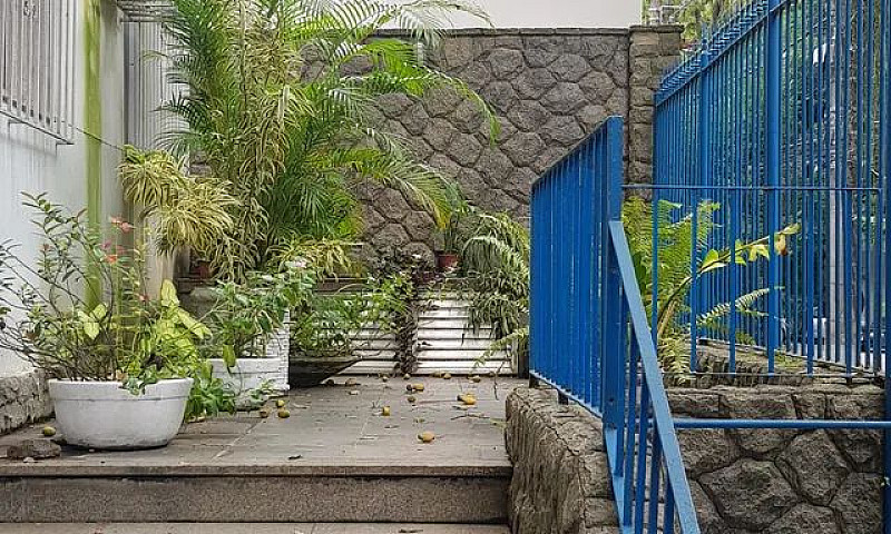 Apartamento Para Alu...
