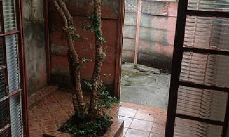 Aluguel Casa Em Exce...