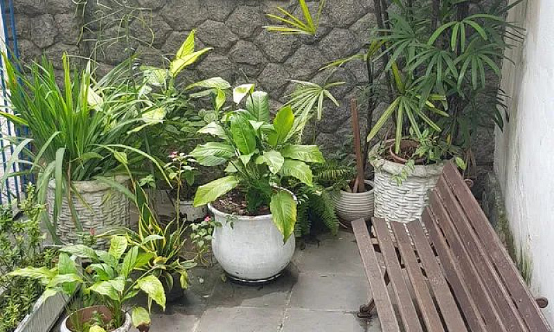 Apartamento Para Alu...