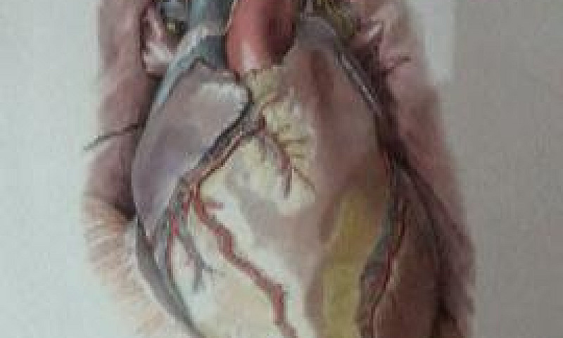 Atlas De Anatomia...