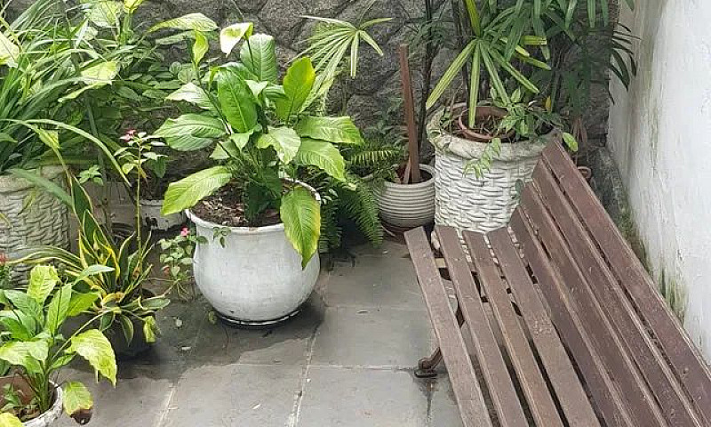 Apartamento Para Alu...
