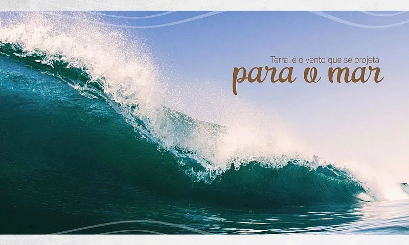 Studio À Venda No Te...