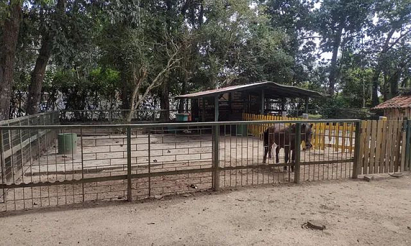 Apartamento De 5 Qua...