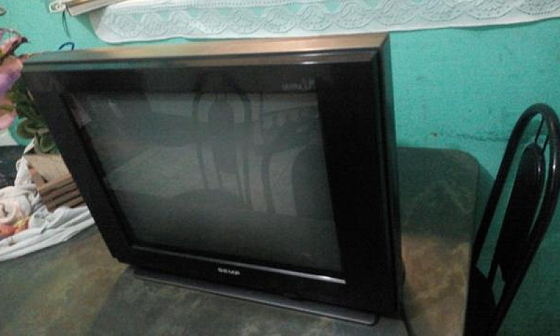 Televisão...