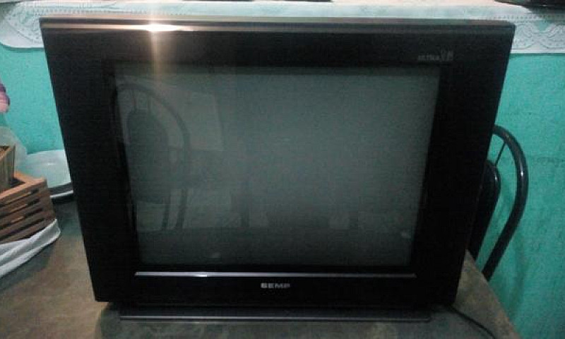Televisão...