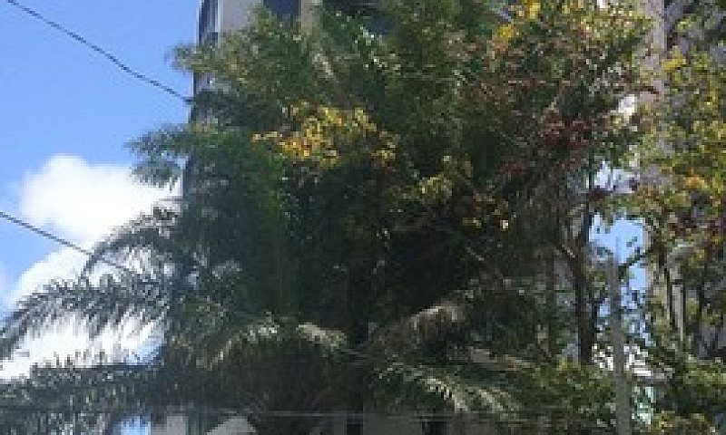 Apartamento Para Ven...