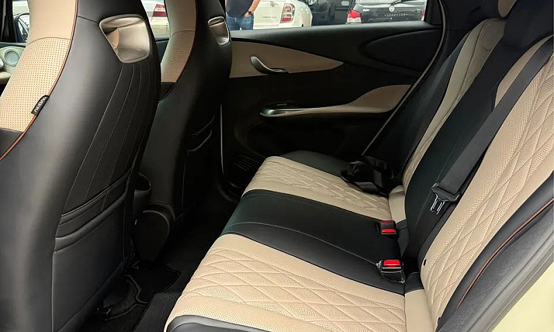 Byd Dolphin Ev (Elét...