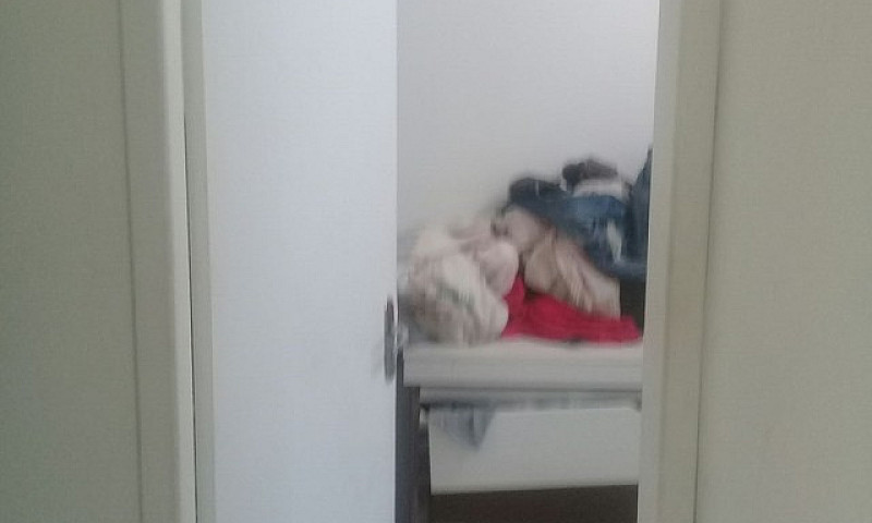 Geminado...