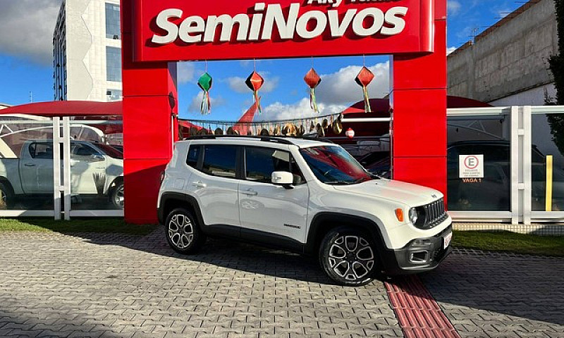 Renegade 2015/2016 1...