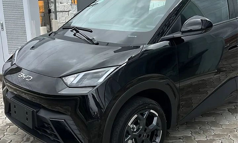 Byd Dolphin Mini (El...