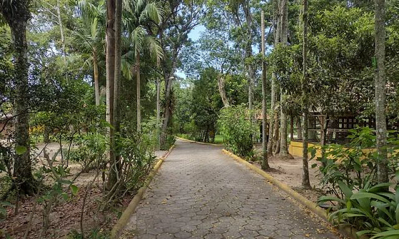Apartamento De 5 Qua...