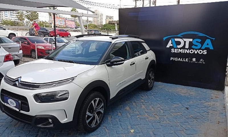 C4 Cactus Shine Thp ...