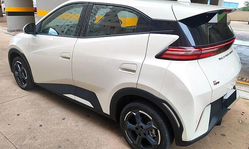 Byd Dolphin Mini (El...