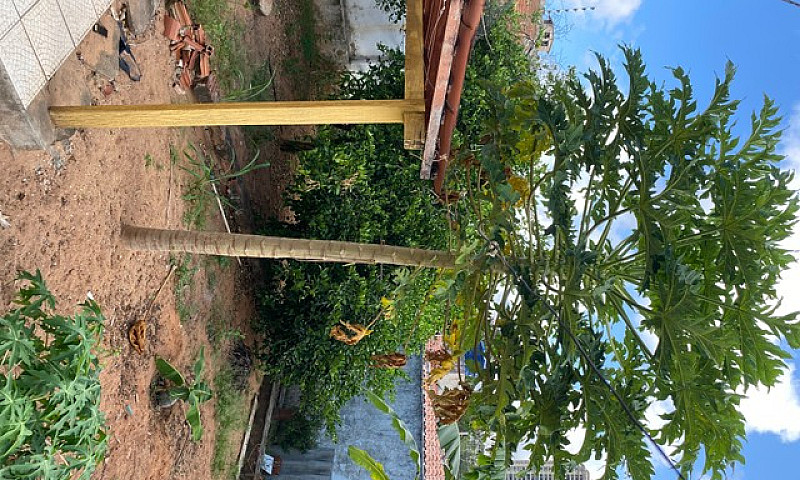 Casa Alugar 270 M 4 ...