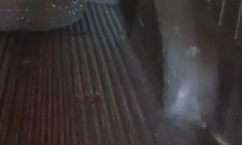 Fiat Strada Working ...