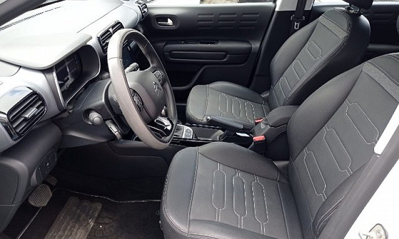 C4 Cactus Shine Thp ...