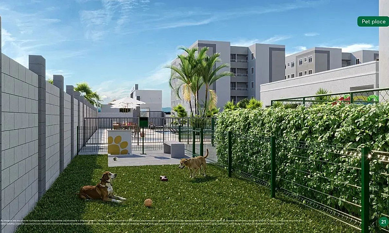 Candeias Garden: Seu...