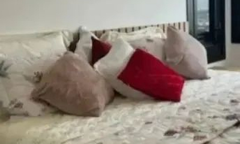 Apartamentos Com 2 Q...