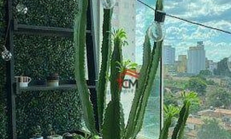 Apartamento Com 3 Do...