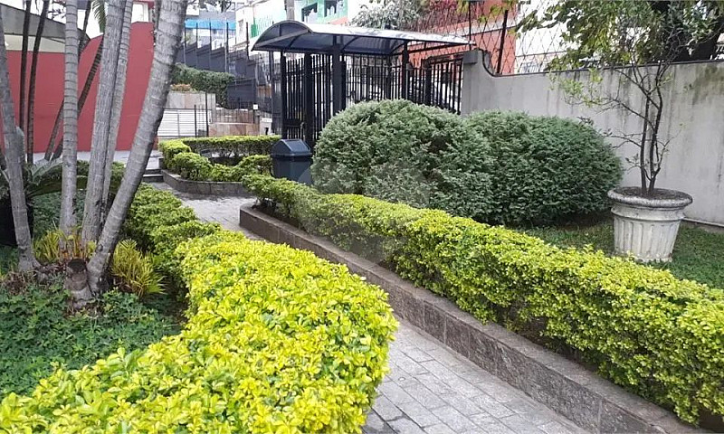 Apartamento Com 2 Qu...