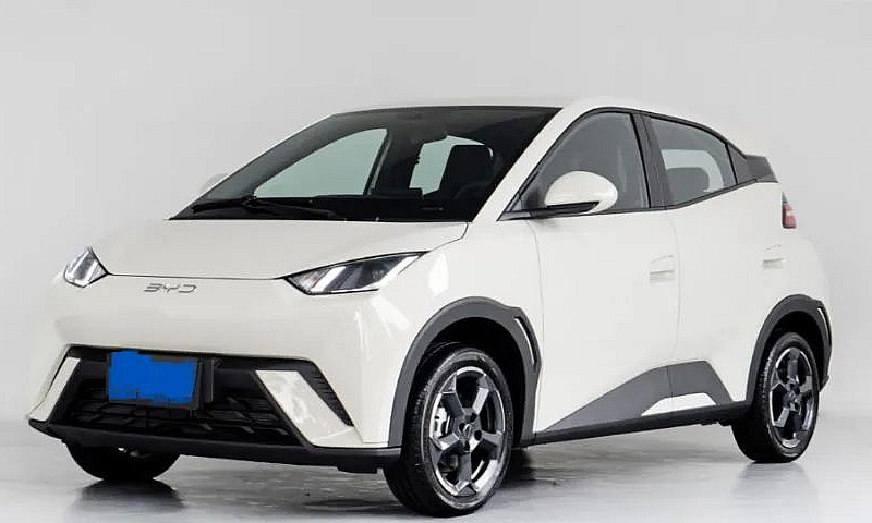 Byd Dolphin Mini (El...