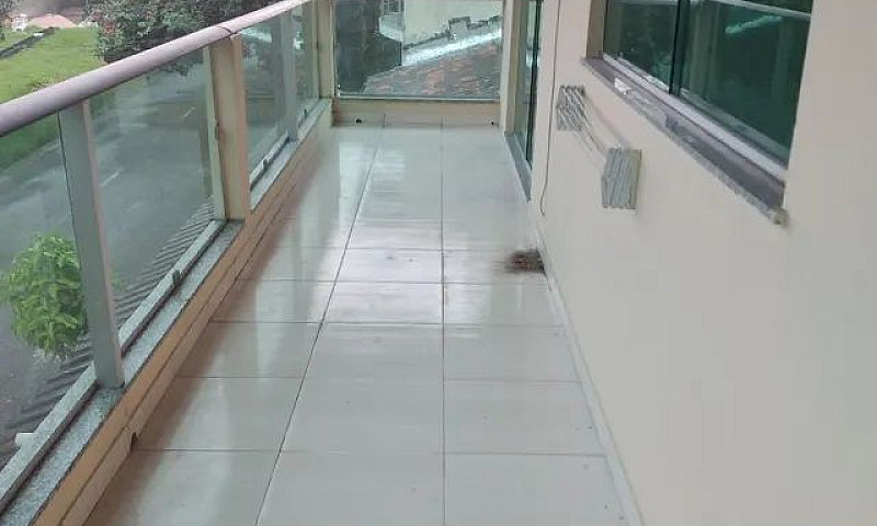 Alugar  Se  Casa  Em...