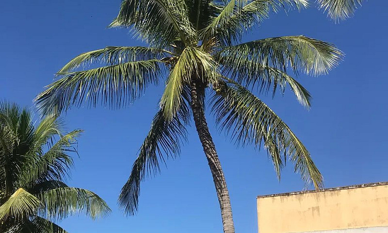 Maravista Itaipu...