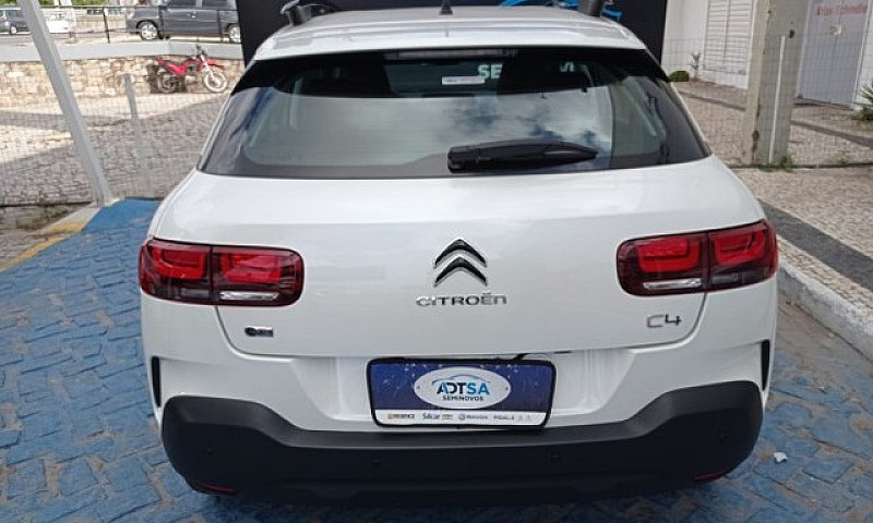 C4 Cactus Shine Thp ...