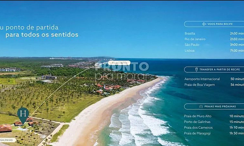 Apartamento Com 3 Qu...