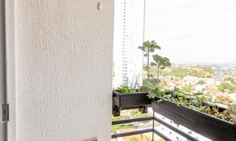 Apartamento Para Alu...