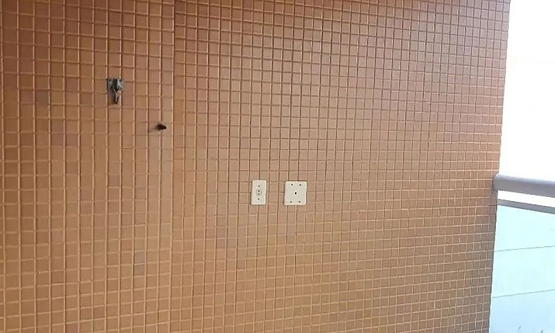 Apartamento Com 1 Qu...